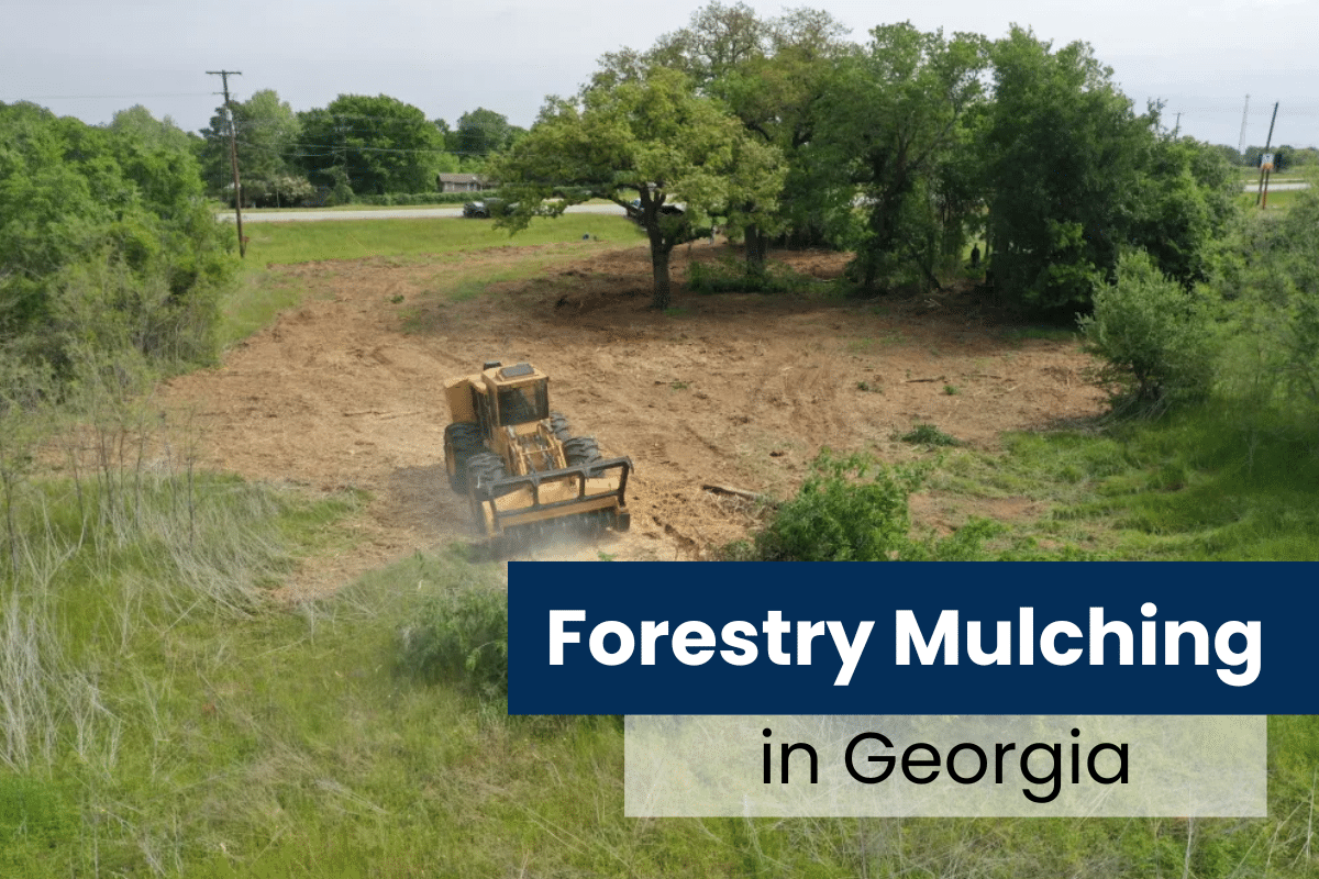 Forestry Mulching in Georgia: The Smart, Eco-Friendly Way to Clear Land ...