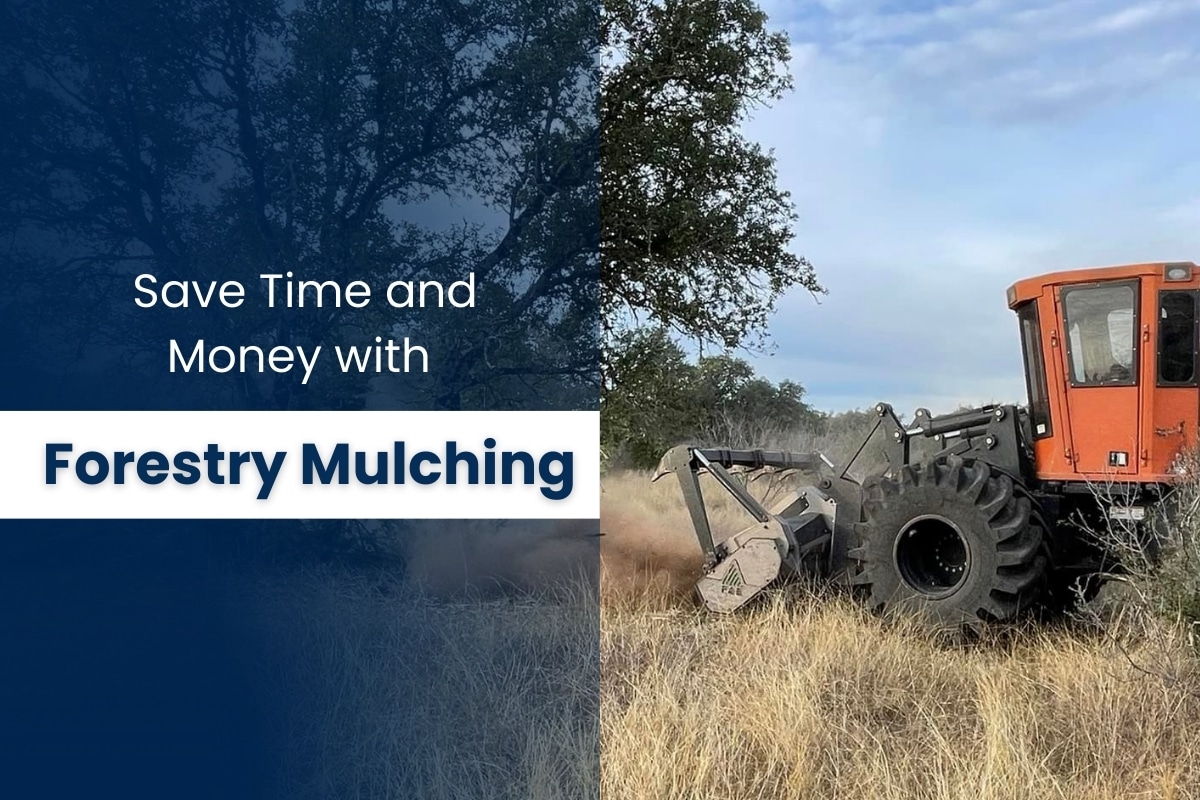 How to Save Time and Money by Using Forestry Mulching for Cedar Clearing